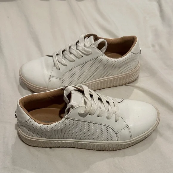 Steve Madden TOLIVER Sneakers - Picture 1 of 8